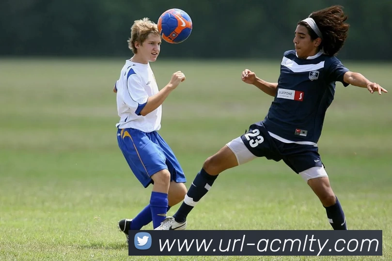 米兰体育服务体系